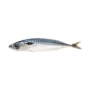 MACKEREL POISSON 1KG