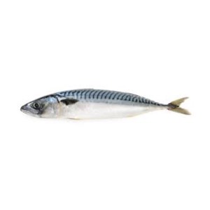 MACKEREL POISSON 1KG