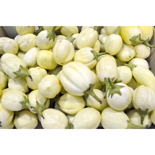 AUBERGINE BLANCHE (ESP) 1KG