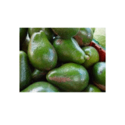 AVOCATS VERTE