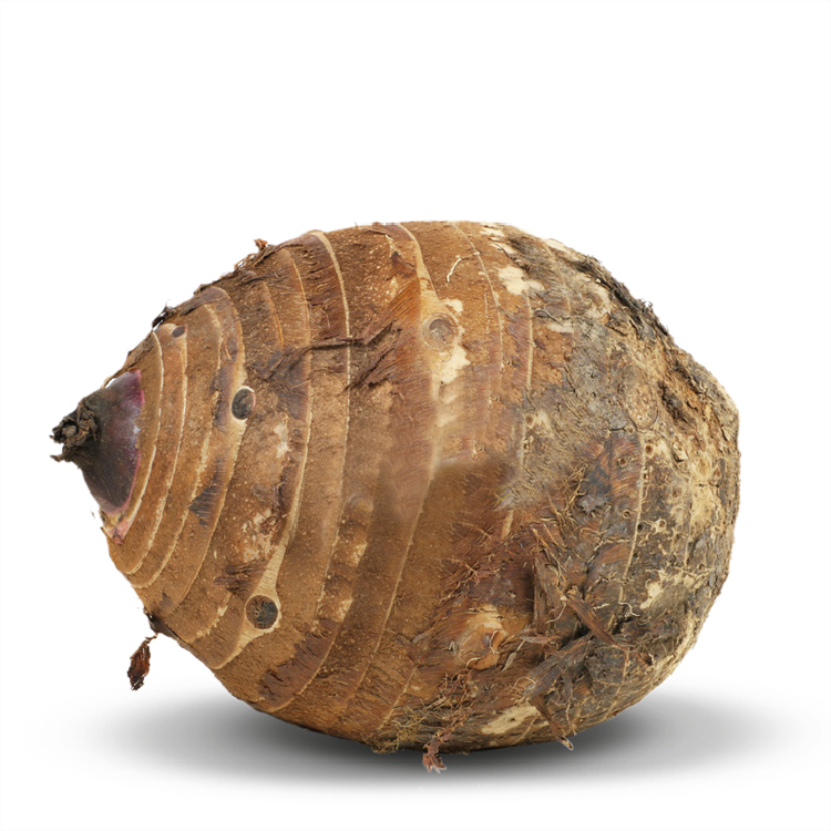 EDDOES LARGE (COSTARICA) 1KG