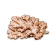 GINGEMBRE 1KG BRAZIL