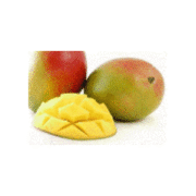 MANGO GREEN 15KG ESP