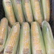 MAïS CORN FRAIS 12 KG