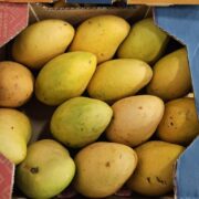 PRAISE PALM OIL REGULAR 1L